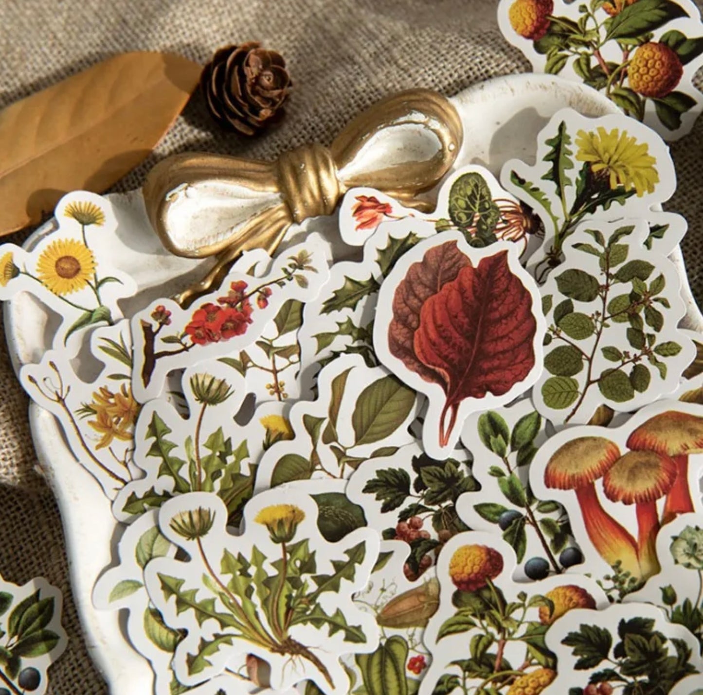Autumn Forest Sticker Box