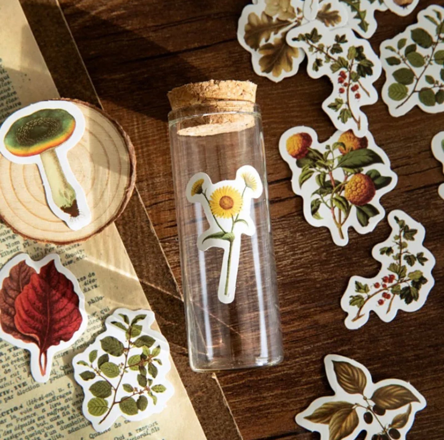 Autumn Forest Sticker Box