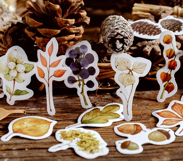 Autumn Forest Sticker Box