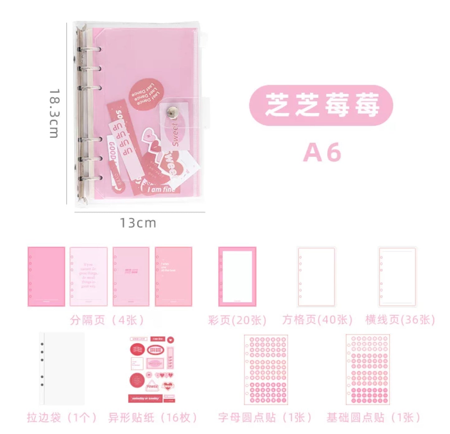 A6 Journal Binder Set