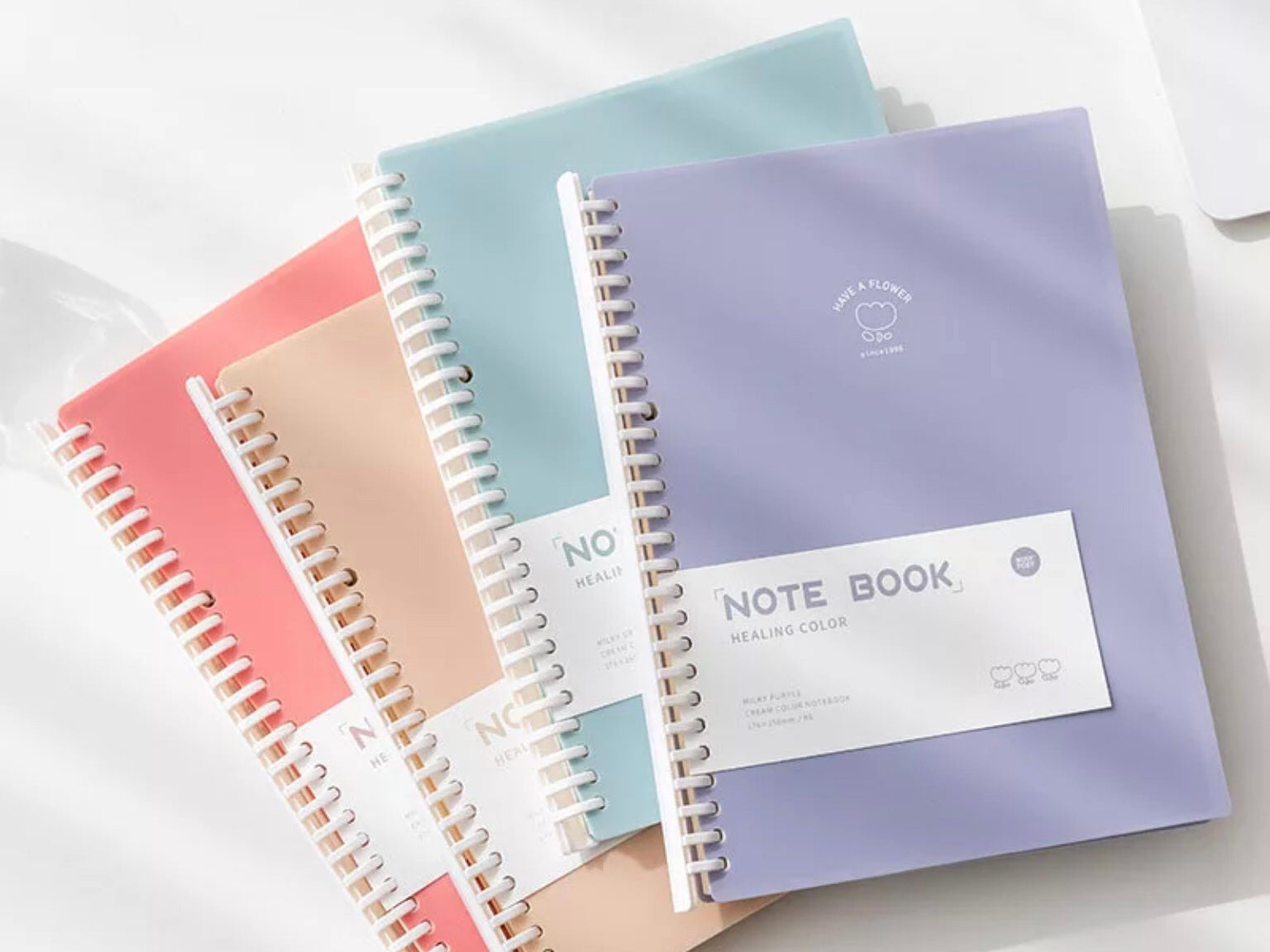 Lever Arch 2-Ring Notebook Binders in Six Colors