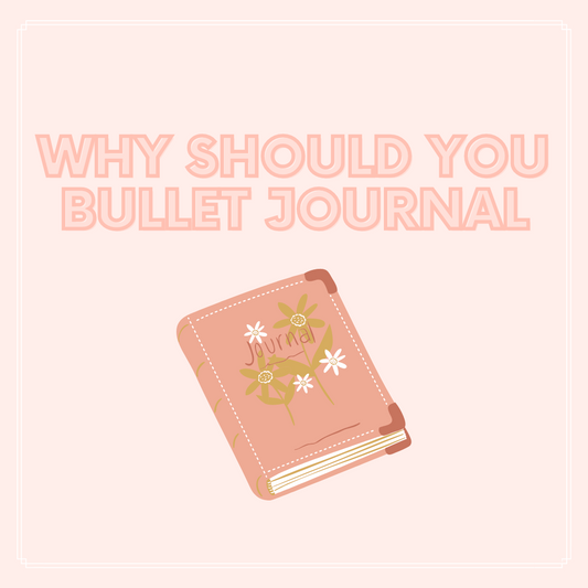 Bullet Journal Starter Box  Aesthetic Journal Supplies – Coral & Ink