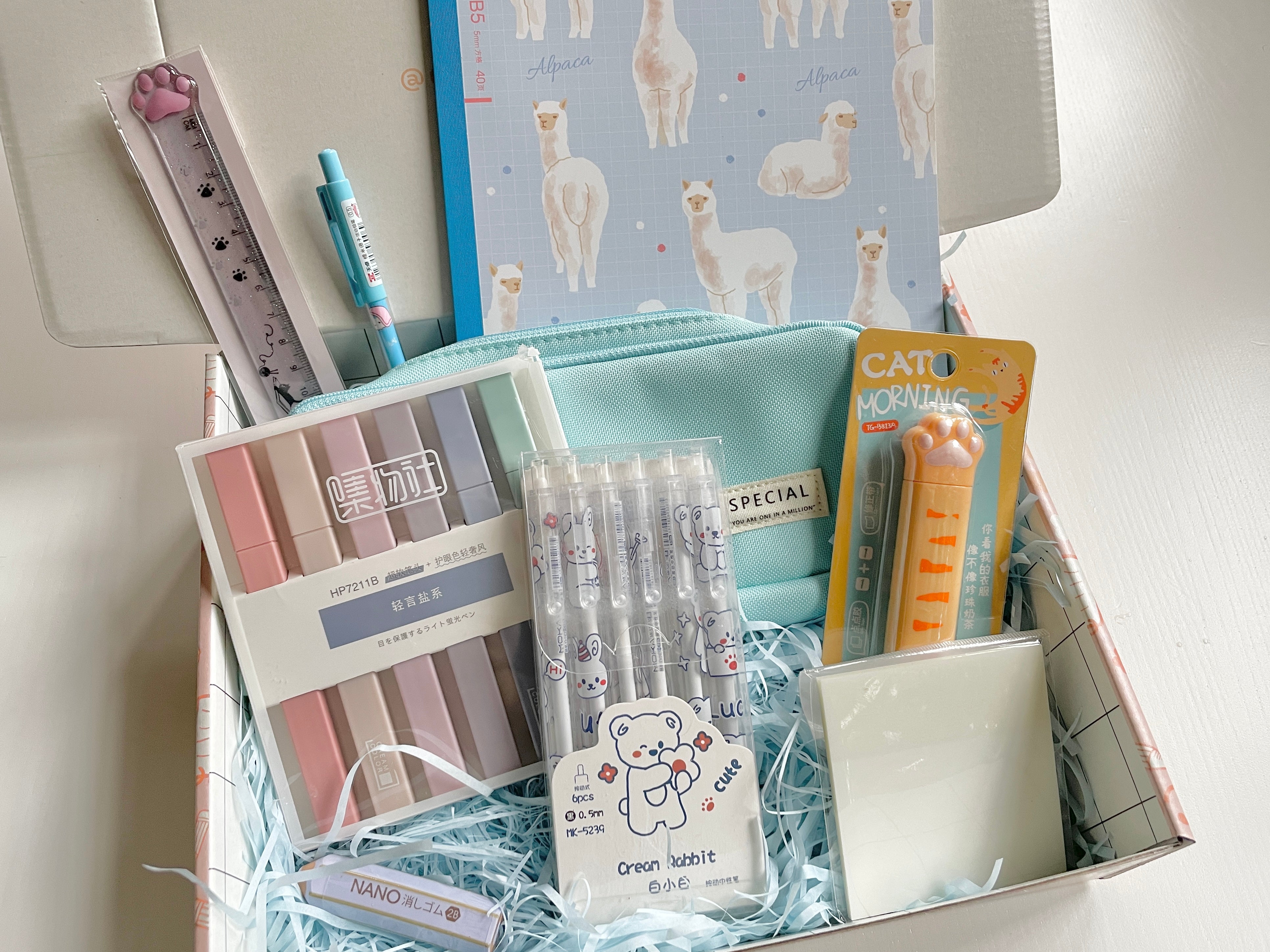The Back to School Stationery Box | Cute School Supplies – Coral & Ink