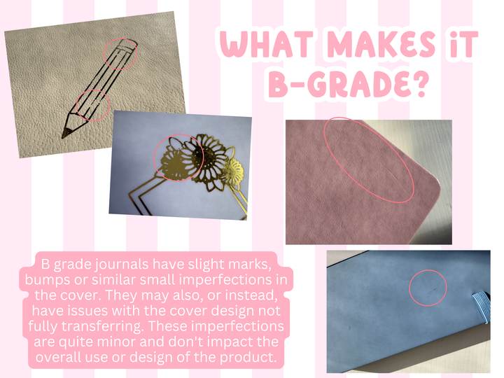 B Grade Snowflake Polaroid Journal