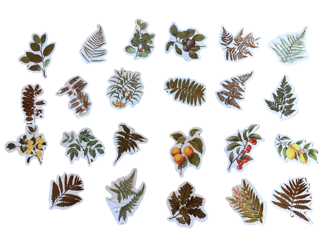 Green Plant Sticker Box