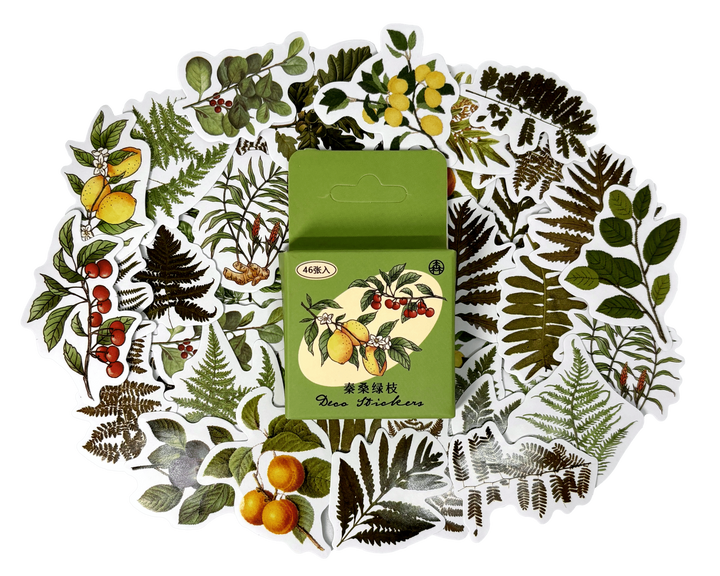 Green Plant Sticker Box
