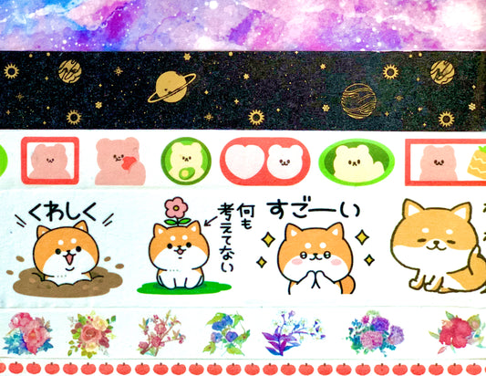 6 of Coral & Ink’s washi tapes you could receive in the mystery set. Galaxy washi, space washi, dog washi, flower washi and bear washi