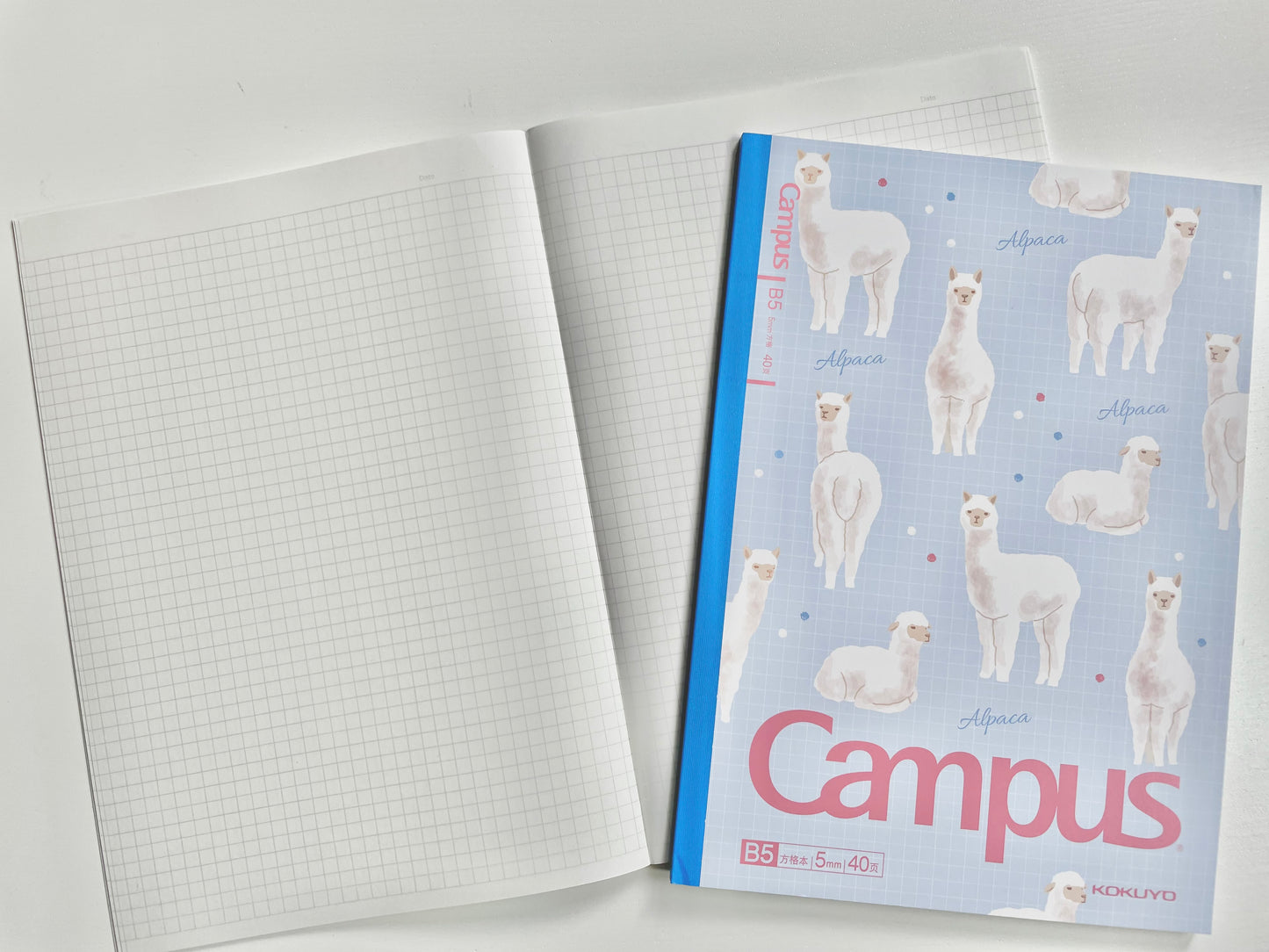 Coral & Ink’s Kawaii animal B5 notebooks for school, college and university