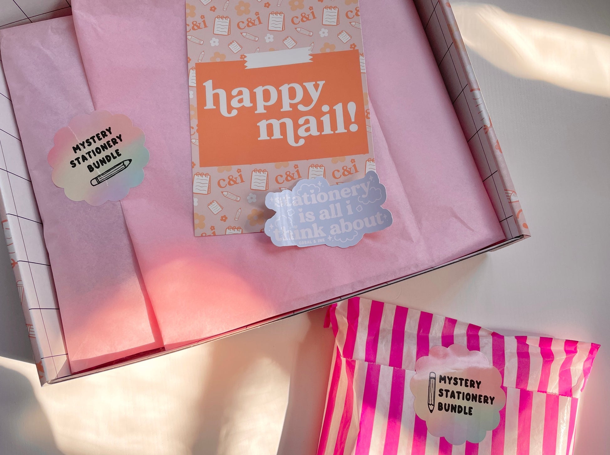 Kawaii Sticker Mystery Bag  Cute Sticker Grab Bag – Coral & Ink