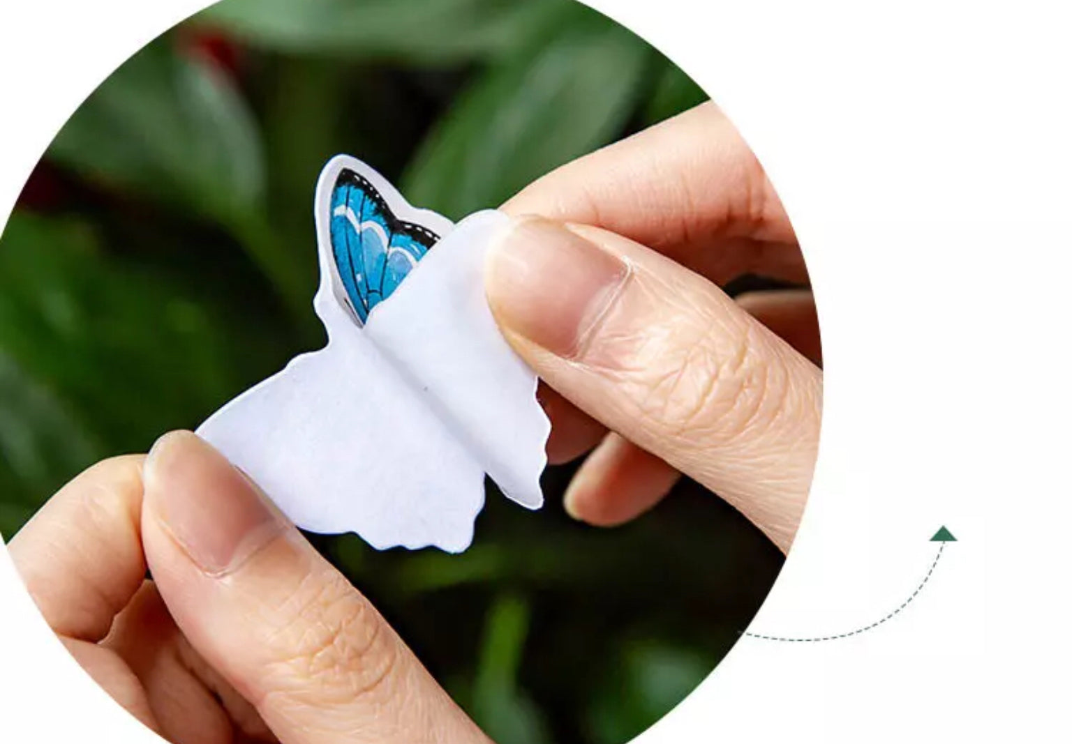 Aesthetic Butterfly Sticker Box