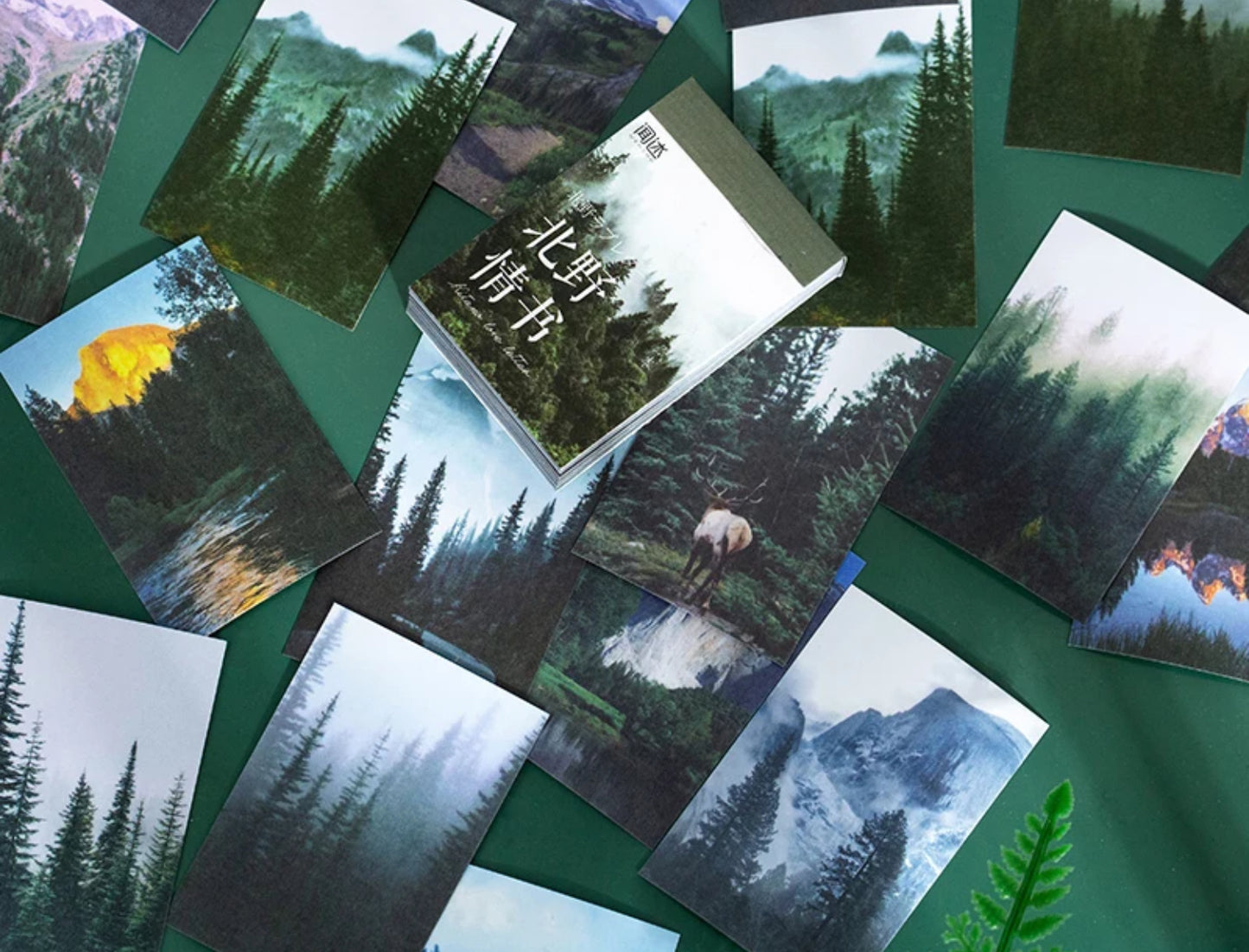 Aesthetic Landscape Sticker Books